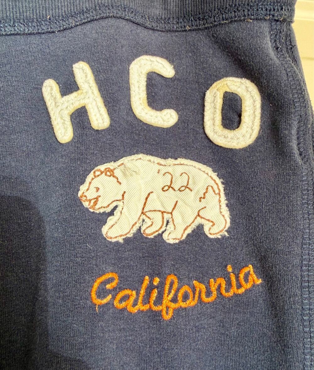 Vintage Hollister Y2K Low Rise Flare Navy Blue Graphic Sweatpants L